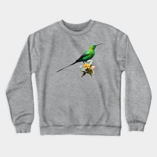 Malachite Sunbird Male in Metallic Green Breeding Plumage Crewneck Sweatshirt